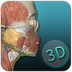 人体解剖学图集软件下载