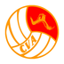 中国排球协会下载安装免费版