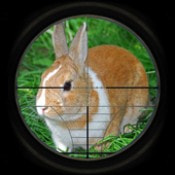 兔子狩猎3D客户端正版2022下载