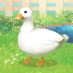 鸭子培养Duck下载安装免费版