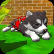 可爱的口袋小狗3D(Cute Pocket Puppy 3D)客户端版最新下载