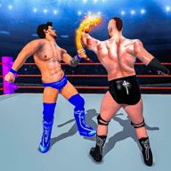 环斗摔跤3D(Ring combat: Wrestling Game 3D)手机端apk下载